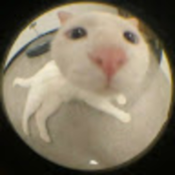 Meet your Posher, Annie - Picture 1 of 1